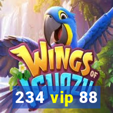 234 vip 88